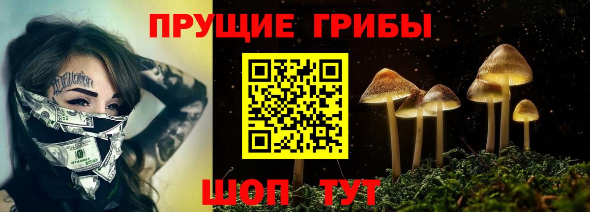 Псилоцибиновые грибы MAGIC MUSHROOMS Арсеньев